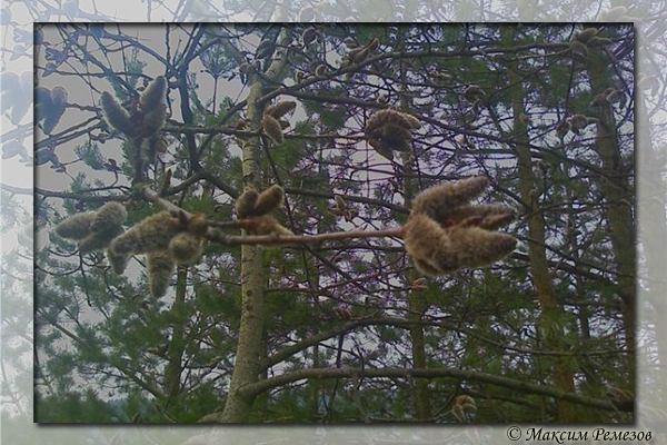�����